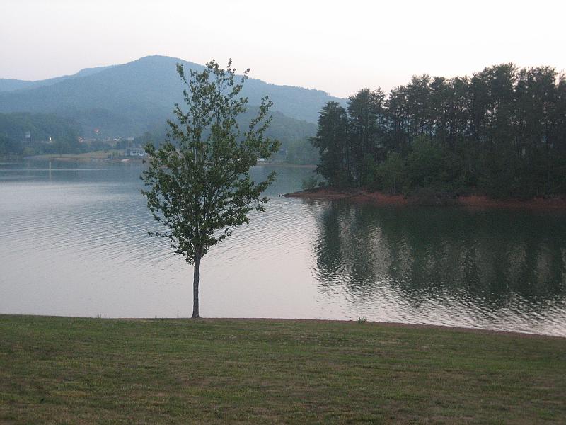 Picture 061